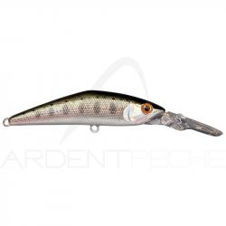 Poisson nageur SMITH D Direct 55 03