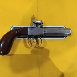 Pistolet a poudre noire derringer