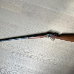 Superbe LITTLE SHARPS 45 colt