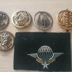 Lot insignes militaires béret brevet para