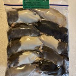 Rats 25/50g X 10