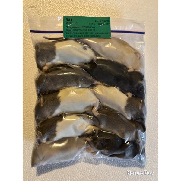 Rats 25/50g X 10