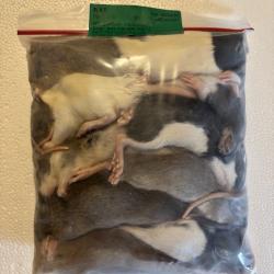 Rats 50/90g X 10