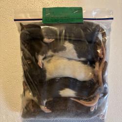 Rats 90/150g X 5