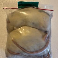 Rats +350g X 2