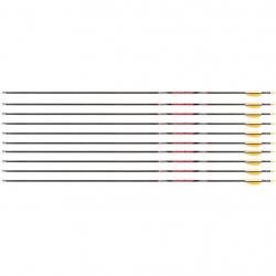 Flèche Avalon Tyro 4.2 en carbone (nouvelles) 30" 700 1 plume blanche 2 plumes or