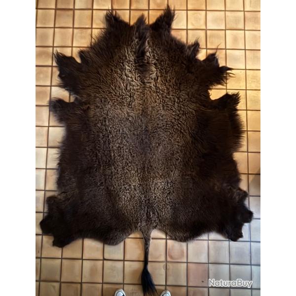 Peau de bison