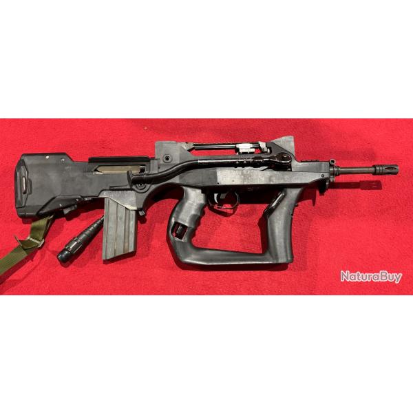 Famas neutralis
