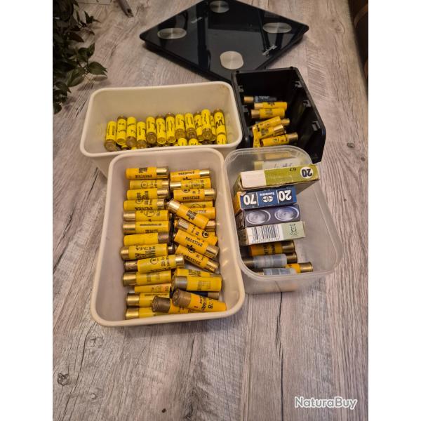 Lot cartouches calibre 20
