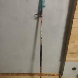 Canne a pêche esturgeon/silure/surfcasting
