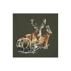 Recherche territoire de chasse