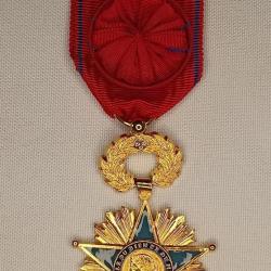 Médaille Officier étoile du bien et du mérite