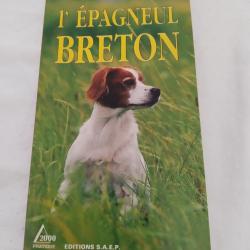 L'épagneul breton,mon chien