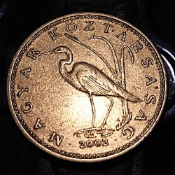 Hongrie piece de 5 forint  (héron) 2002 ttb