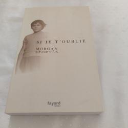 Si je t'oublie, Morgan sportes,roman
