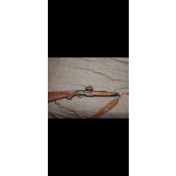 Carabine SXR semi automatique 7.64 + point rouge