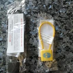 LOT DE 2 CADENAS DE PONTET A CLE