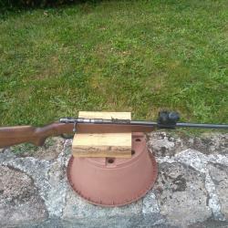 Carabine 22 LR ANSCHUTZ equipée d'un point rouge neuf
