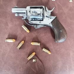 Bulldog 320 apte au tir