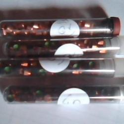 amorces pour poudre noire pistolet ou revolver
