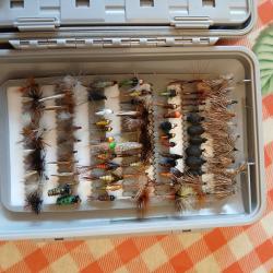 Vend lot mouche
