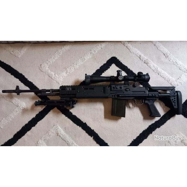 M14 EBR WE GBBR