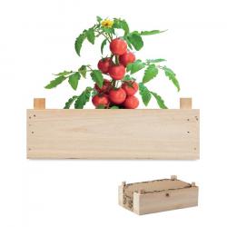 kit de plantation tomate cerise