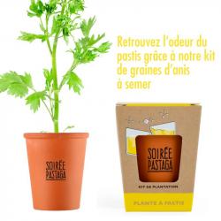 kit de plantation graine de pastis