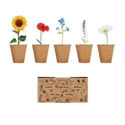 kit de plantation fleur