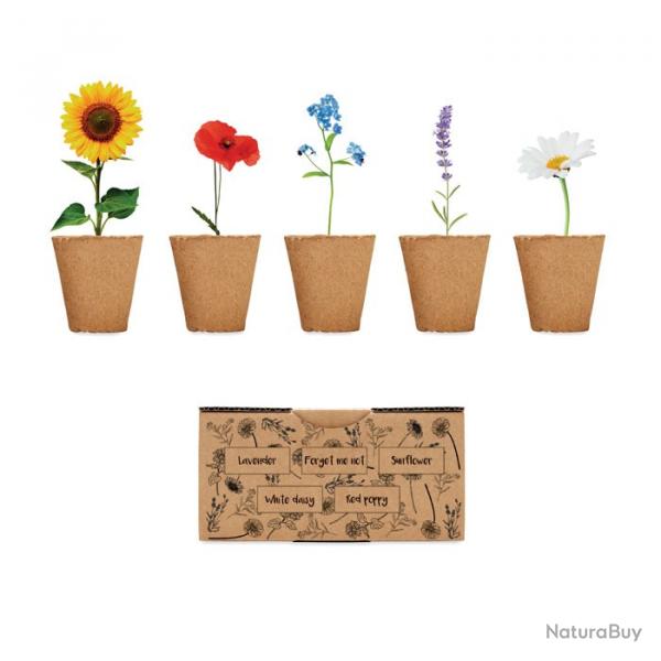 kit de plantation fleur