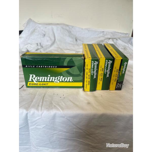 REMINGTON core-lokt PSP 180 gr 300 win magnum