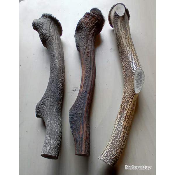 Morceaux de bois de cerf