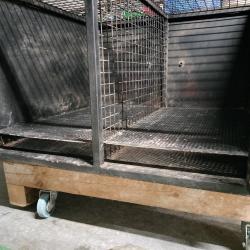 Caisse de transport pour chiens