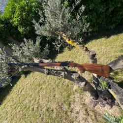 Blaser k95