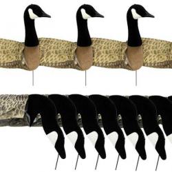 Pack 12 blettes d'oies Sillosocks Canada Goose Harvester
