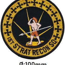 PATCH  du : 1st STRATEGIC RECONNAISSANCE SQUADRON  (9 SRW)