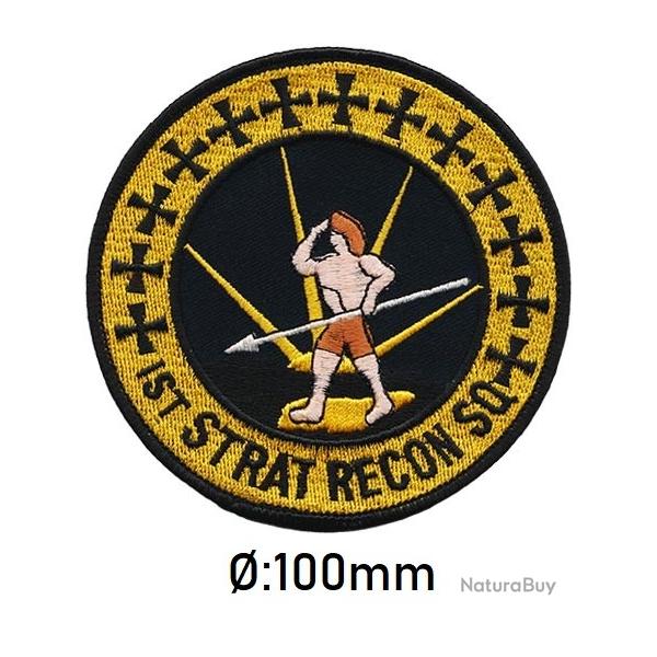 PATCH  du : 1st STRATEGIC RECONNAISSANCE SQUADRON  (9 SRW)