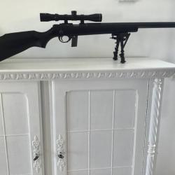 Carabine 22 lr armscor