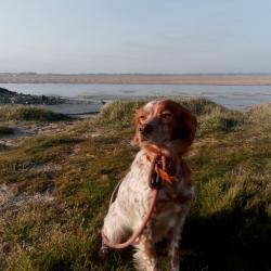 Terrain de chasse