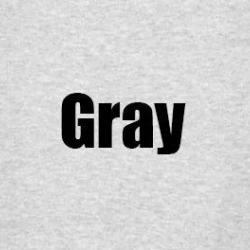 IRON SKY SOLDIER T SHIRT Glocke UFO Haunebu Vril Reich Roswell - Gray / S