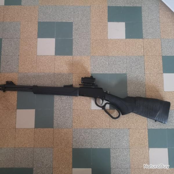 Rossi Rio Bravo 22lr sans le point rouge