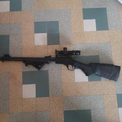 Rossi Gallery 22lr sans la lunette