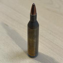 Boîte de 20 balles calibre 17 Remington