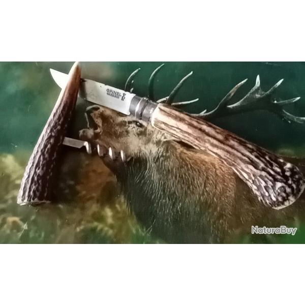 Couteau de poche pliant Opinel cerf