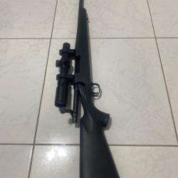 Carabine Remington