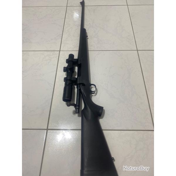 Carabine Remington