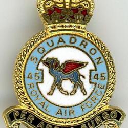 No. 45 Squadron RAF ( Epinglette )
