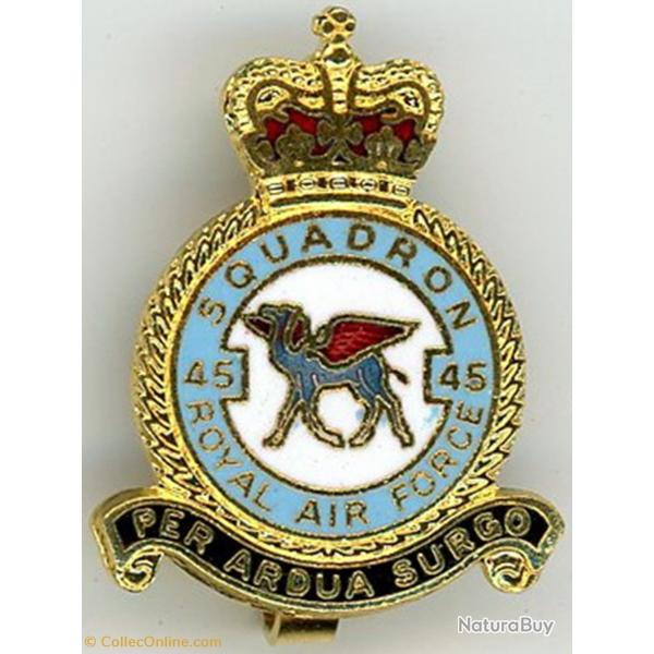 No. 45 Squadron RAF ( Epinglette )