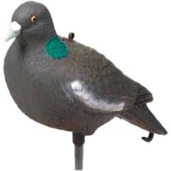 Appelant Pigeon 37 cm FRITZMANN