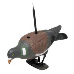 Appelant Pigeon au posé 38 cm FRITZMANN